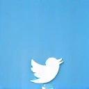 Twitter icon